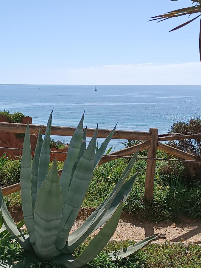 Mar A Vista Algarve Summer Portimão Extérieur photo